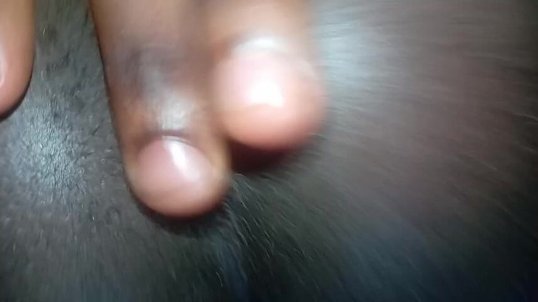 Africatrans: Lütfen Hepsini Götüme Sokma.