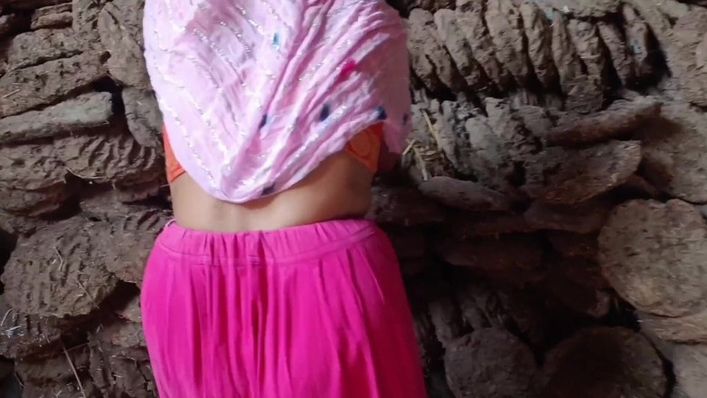 Lalita Singh: Indisch Desi dorp Bhabhi Autside neuken Desi video