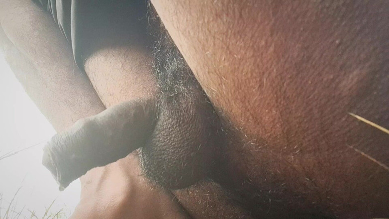 Desi_Porn_India: Ma nouvelle vidéo de pisse desi sexy dans les champs