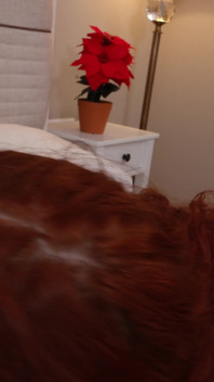 Hete vrouw neukt de beste vriend van haar man hard terwijl hij zijn mini-pik aftrekt in de volgende kamer