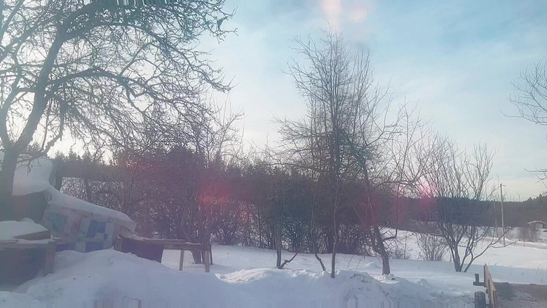 sweethanajapanese: Hana Chan'ın minyonları çok iyi görünüyor