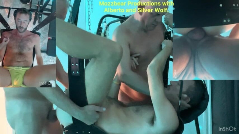 Mozzbear: Papis sind zurück!!!!