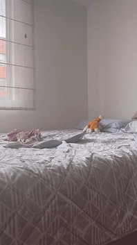 Zwei mädchen ziehen ihre fitnessklamotten an, berühren sich gegenseitig und zeigen ihre bis zum orgasmus