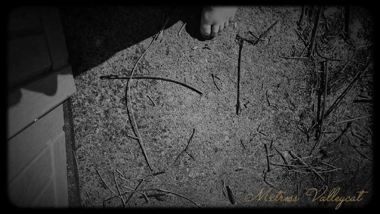 Mxtress Valleycat: 7일 동안 내 노예가 되라