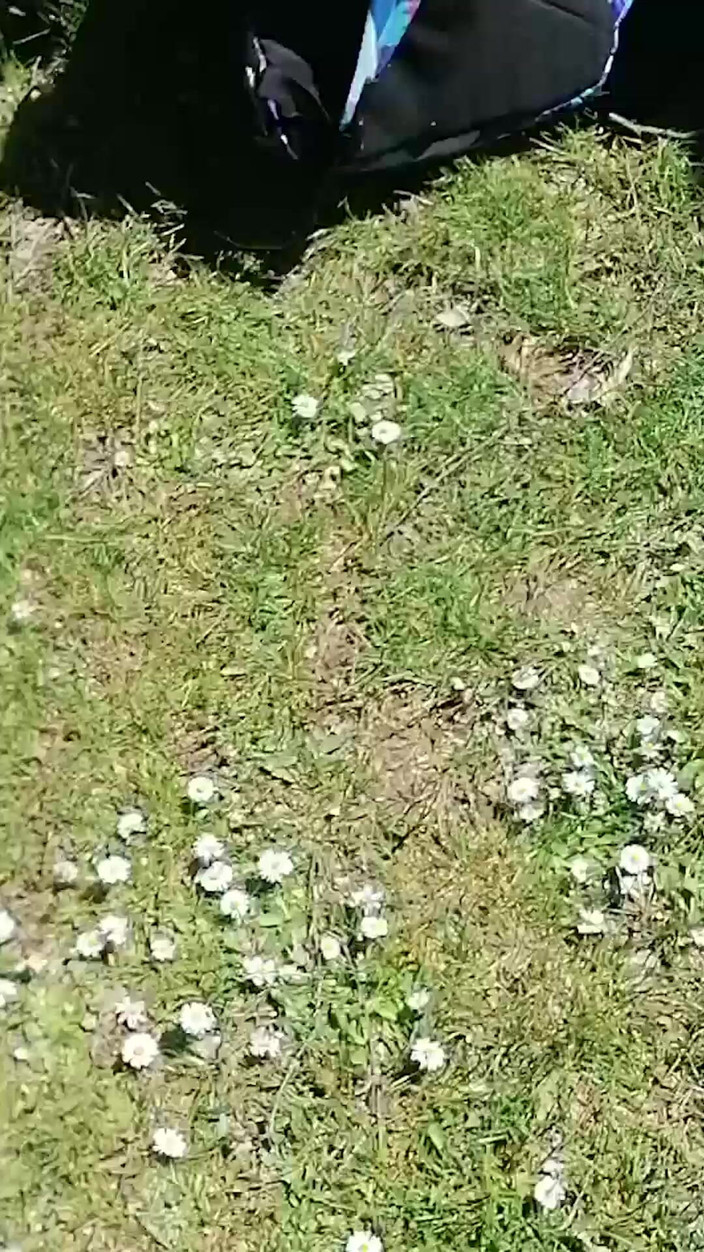 Mike Vonberg: Я переконав свою повію показати її пизду та цицьки в ризикованому місці