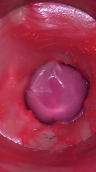 Camera in poesje: krachtig sperma in poesje! Beste interne asmr