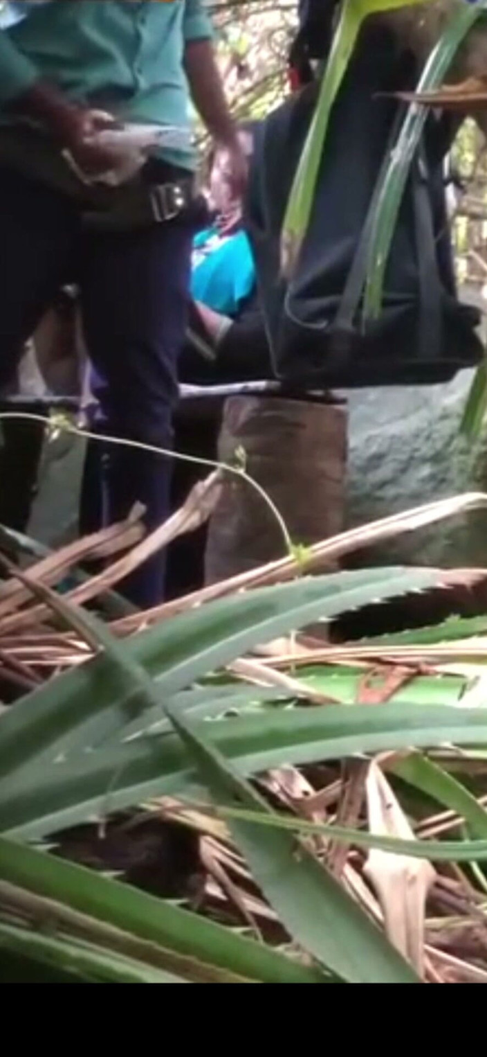 Couple Masti: Indian Couples Are Sex in Jungle