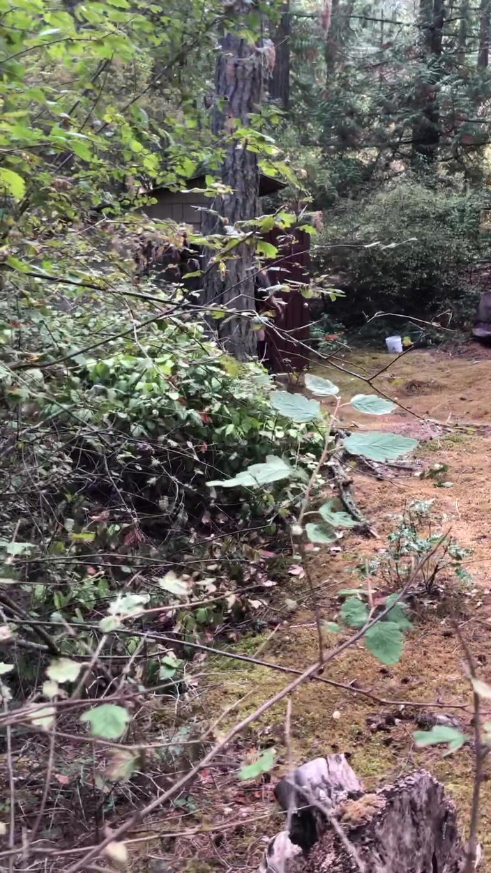 MaXXXimumMilf: Aku lagi asik sama bigfoot di yoniku! Maxxximummilf