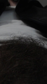 Alpha Superiority Pubic Hair