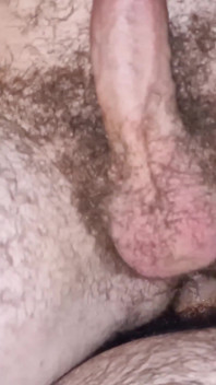 Medvěd šuká můj zadek ve svém bytě