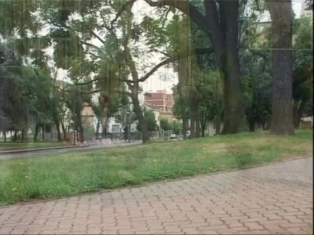 Old PIGS XXX: Ama de casa madura buscando polla joven