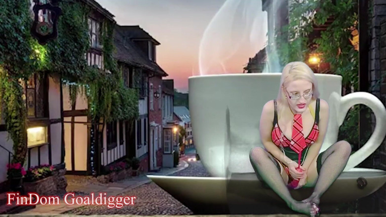 FinDom Goaldigger: Leck deine schwanz-lektion