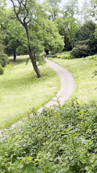 BBW Girl Give Perfect Sloppy Handjob in a Park - Risky and Sloppy