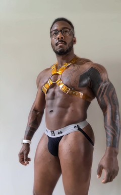 Amadeus: Harness baru ini adalah api dengan warna kuning dari #stongpup di...