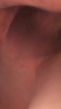 Follada al cerdo cachondo para el postre