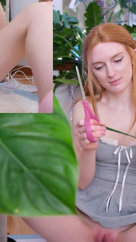Wet Plant Tutorial