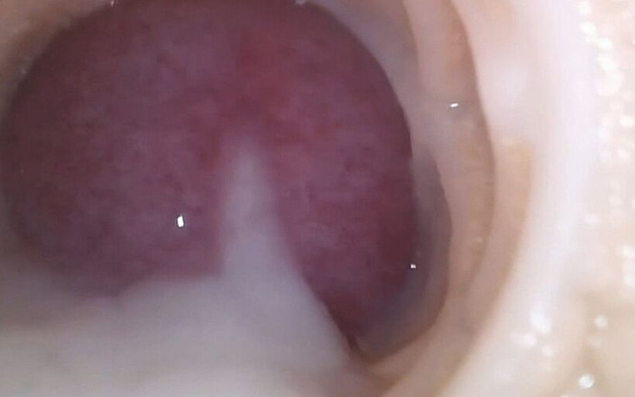 Master of porn: Santa está en la ciudad