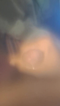 Desi Cock Land