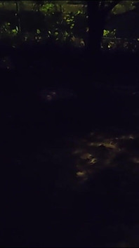 Masturbating Naked on the Side of the Freeway at Night