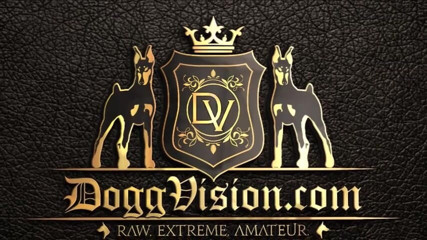 DoggVision: 4 con cu cho máy bay bà già chơi lỗ...