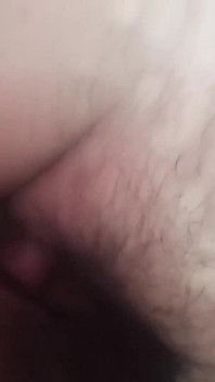 Dasi 따먹기 홈 설치