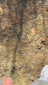 Piss Outdoors и другие сборники