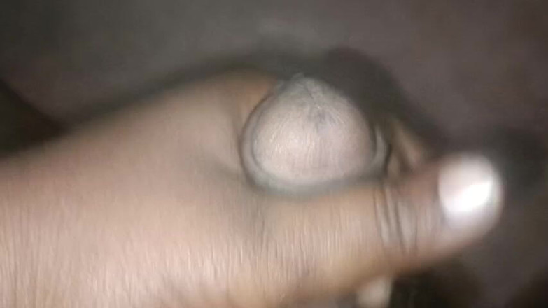 LegalVector8: ニュー・デジ・ビデオ