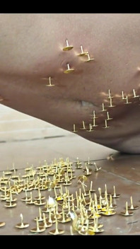 A New and Exciting Experience