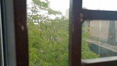 suchismitasarkar: Bengálská sexy hvězda Tina masturbuje v hotelovém pokoji