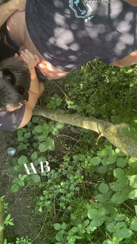 숲속의 크루징 지역 BJ
