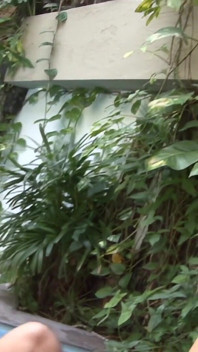 Penembusan berganda yang sengit untuk Lubang Manis Daniela Matarazzo