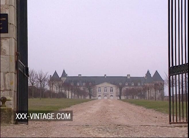 XXX-Vintage: Sesso bollente nel castello con la tettona Anita Dark