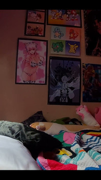 Panty Diary
