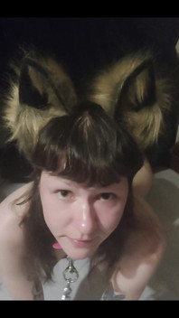 Im Your Pet