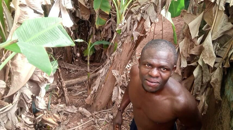 Moviesporn1: Sevgililer günü tasmalı bir plantain en yarak deliği