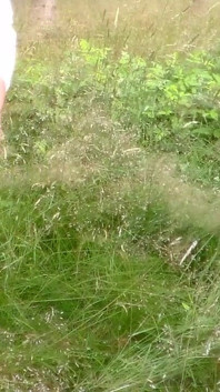 Jen Is Peeing on a Field