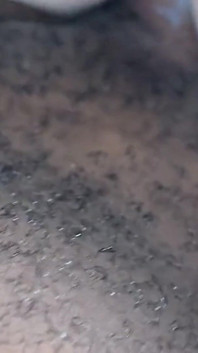 Omg Quản lý của tôi bú cu tôi sau giờ làm việc