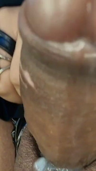 골로자 풀렛