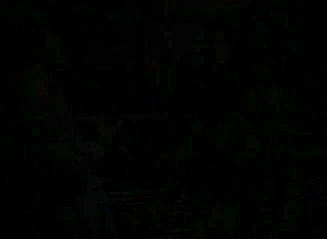 Lesbo Tube: Deslumbrantes lésbicas brincando e lambendo bocetas