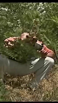 Voyeur hutan