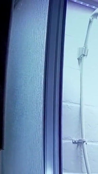 MEN- Since Dante Colle is all alone in his camper, he's been masturbating more than ever before