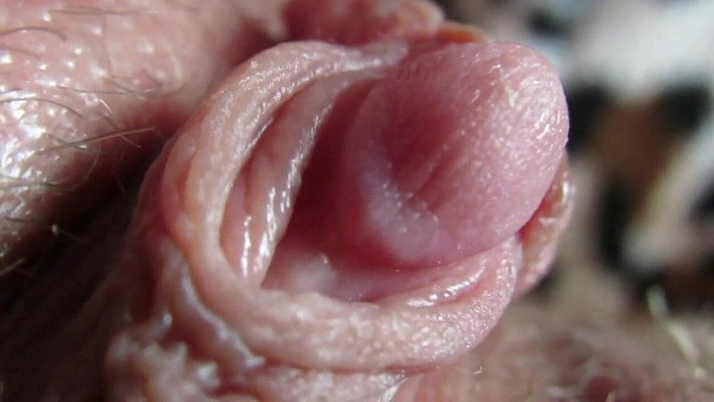 Cuteblonde666: Compilation di grandi clitoridi 2