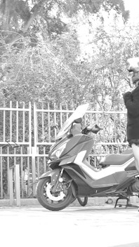 Durante la cavalcata, la sua gonna si alza e rivela il suo piccolo pene