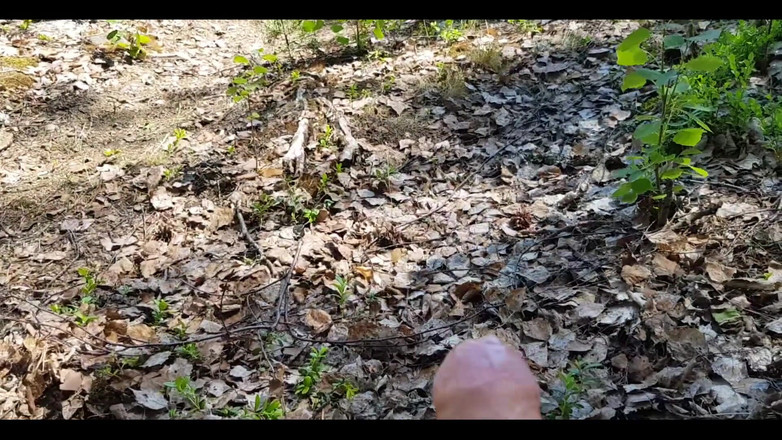 Awesome A: Wanking Near the Lake. I Was Super Horny!
