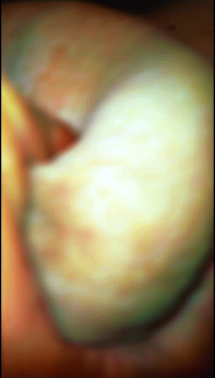 Lily & Theo: Esfregando meu pau na esposa puta do corno que pede...