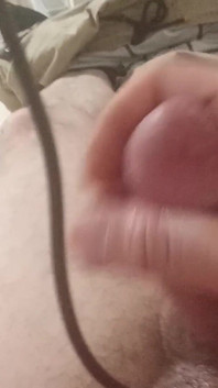 My Dick