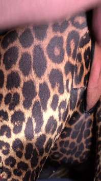 Хэллоуинские угощения в комбинезоне Leopard Zentai — Projectfundiary