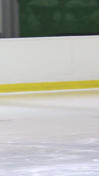 Ice Skater