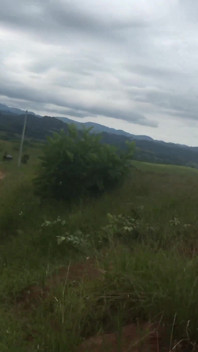 彼は私に山で性交するように説得しました