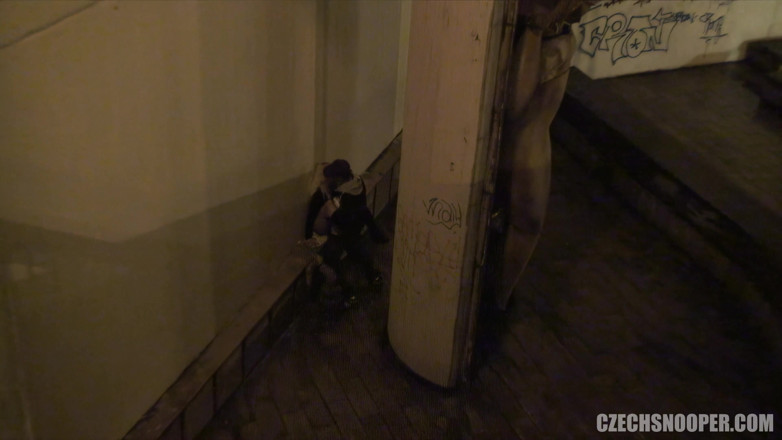 Czech Snooper: Czech snooper 5: filthy outdoor exhibitionist gives voyeurs a perfect view!